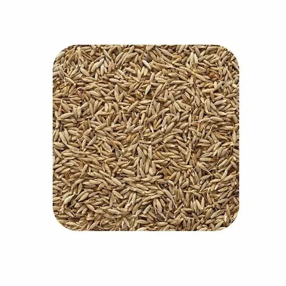 Jeera Seeds Loose 1 kg